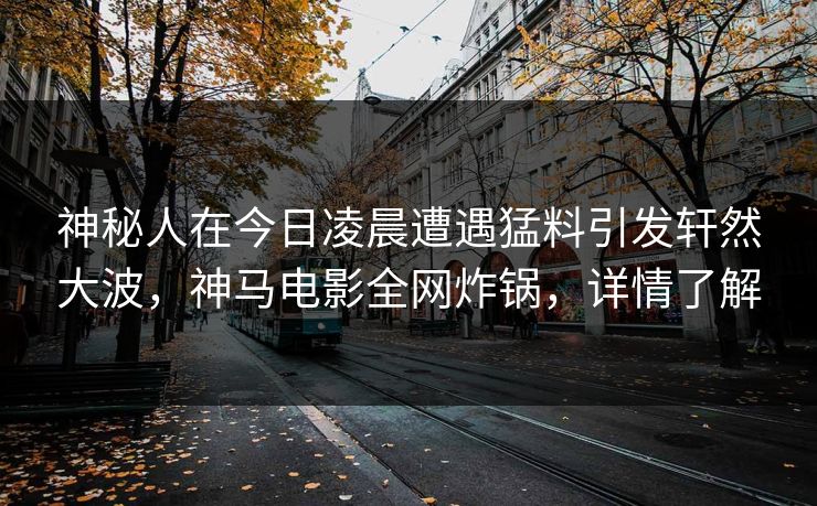 神秘人在今日凌晨遭遇猛料引发轩然大波,神马电影全网炸锅,详情了解