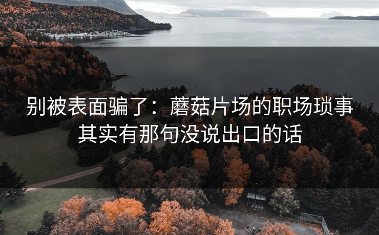 别被表面骗了：蘑菇片场的职场琐事其实有那句没说出口的话